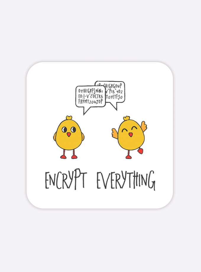 #EncryptEverything Chicks - Vinyl Sticker - 2 inch